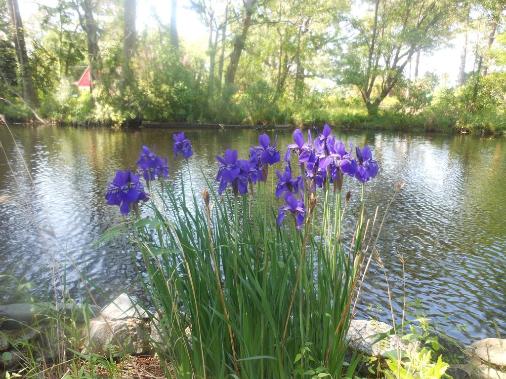 The Pond House Inn Elizabeth City Εξωτερικό φωτογραφία