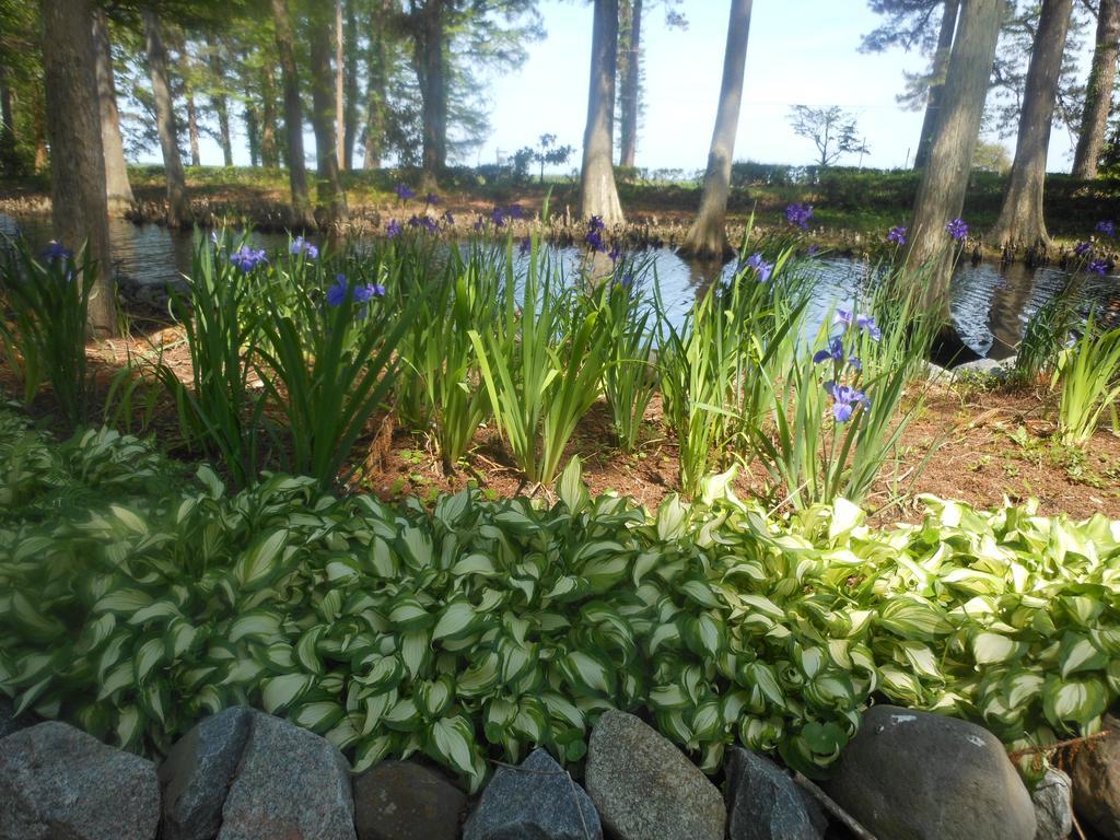 The Pond House Inn Elizabeth City Εξωτερικό φωτογραφία